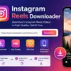 Profile picture of instagramreelsdownloader